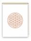 Preview: Rollo Blume des Lebens pfeffer blanco - Sichtschutz Extartiqe